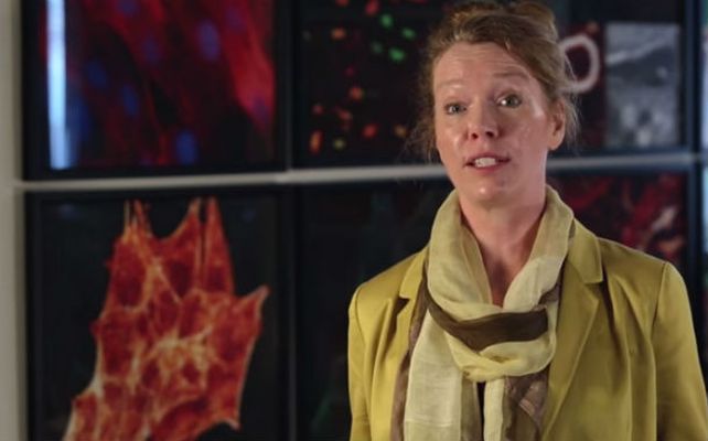 La doctora Melissa Knothe Tate lidera el proyecto de la Universidad Nueva Gales del Sud.