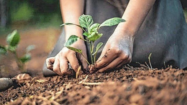 El frío comenzaó a sentirse con fuerza en Entre Ríos y el impacto ya se refleja en la producción hortícola