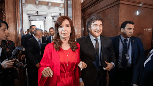 Ella está apuntando a que los que tenemos cierta afinidad no nos juntemos, dijo Milei acerca de Cristina.