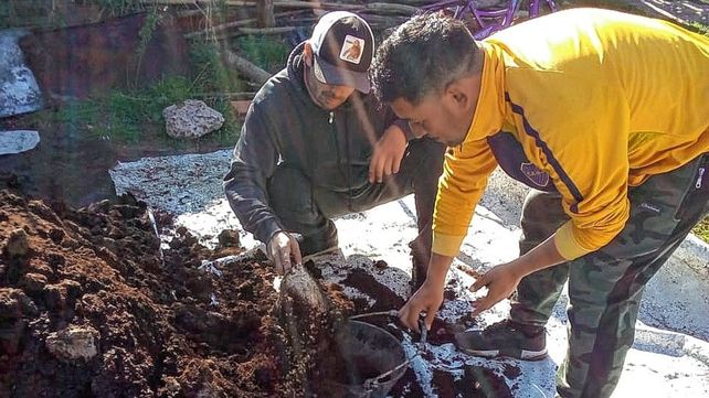 Cooperse es una cooperativa abocada a la lombricultura