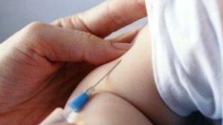 Desde el Ministerio de Salud informaron que no hay circulación del virus de la gripe