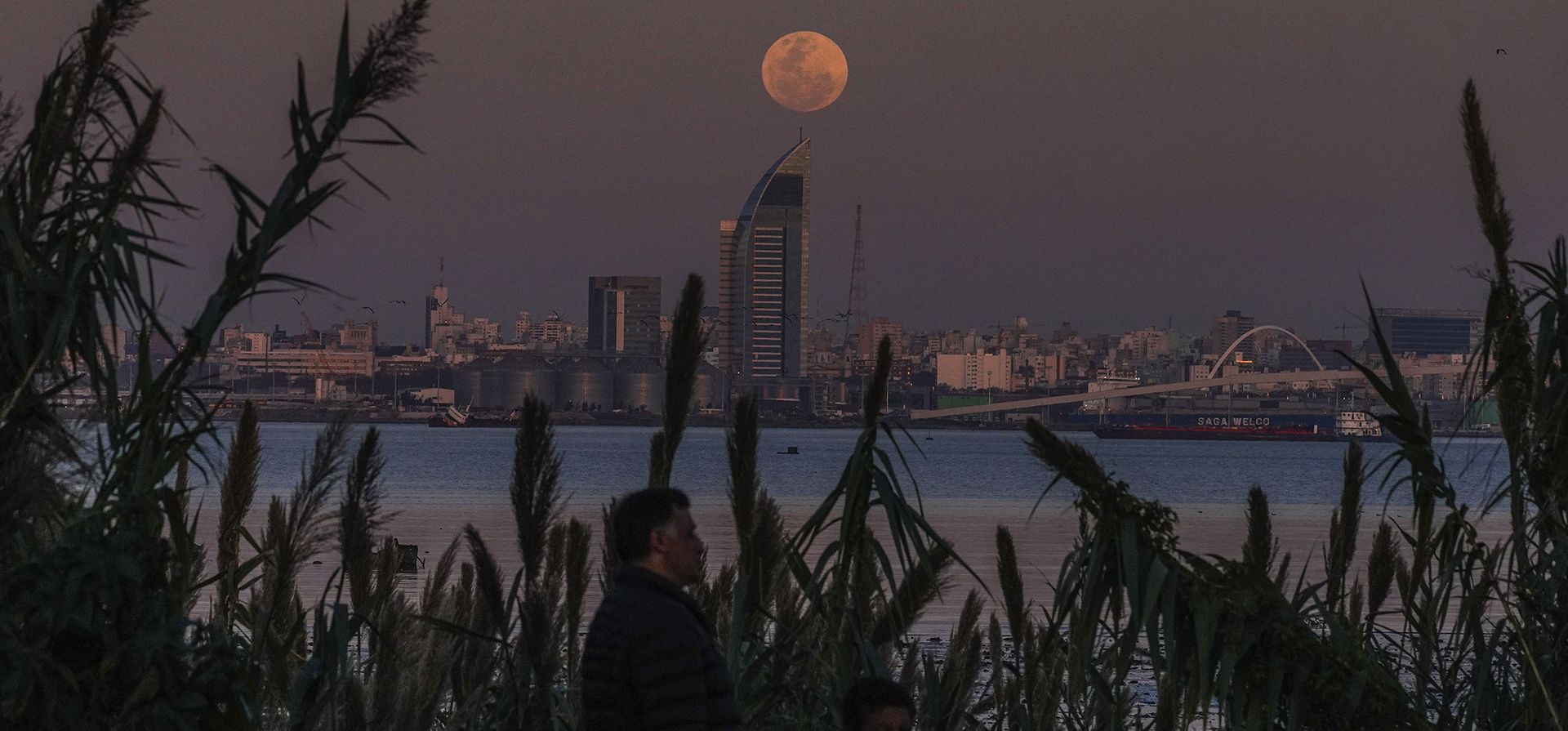 Una superluna se eleva sobre Montevideo, Uruguay, el miércoles 30 de agosto de 2023. El telón cósmico se levantó el miércoles por la noche con la segunda luna llena del mes, también conocida como luna azul. (Foto AP/Matilde Campodónico)
