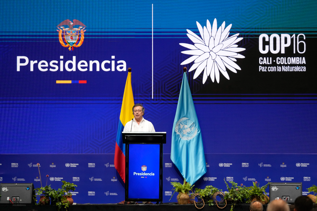 El presidente de Colombia, Gustavo Petro, durante la inauguración de la COP16 que se desarrolla en Cali.