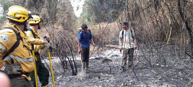 Los bomberos santafesinos trabajan intensamente para salvar selva autóctona