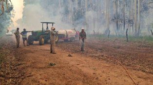 Incendios en Federación: combaten las llamas con un avión hidrante