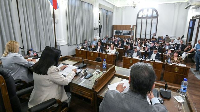 En la primera sesion ordinaria de 2026 del Senado se conformaron las comisiones permanentes y los bloques informaron las designaciones de autoridades
