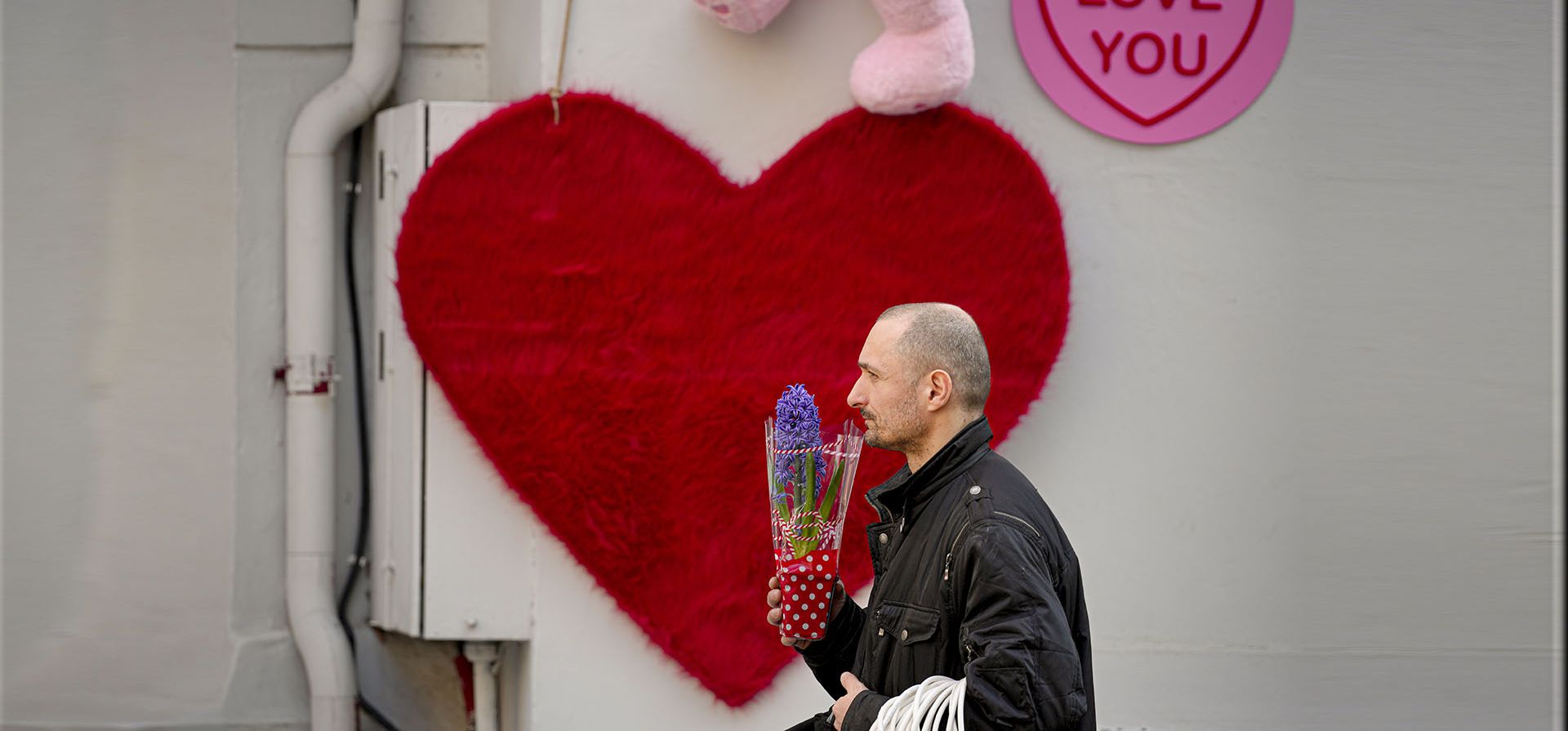 Un hombre que sostiene una maceta con una flor camina junto a una figura en forma de corazón en Bucarest, Rumania, el martes 14 de febrero de 2023.  (Foto AP/Andreea Alexandru)