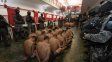 Presentaron dos graves denuncias por casos de tortura y vejaciones en cárceles santafesinas