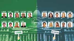 ¿Qué opinó cada diputado santafesino sobre el proyecto de legalización del aborto?