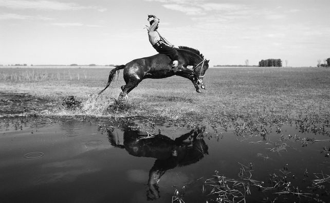 Un jinete que atraviesa un bañado a los rebencazos. La exposición tiene tomas de distintas &nbsp;provincias.