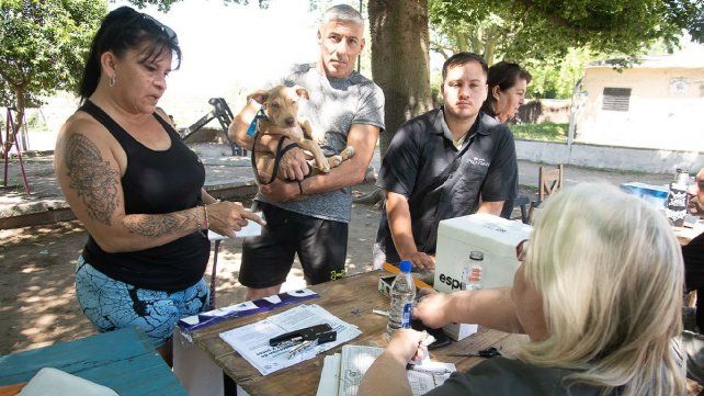 Salud Animal comienza los operativos de castración