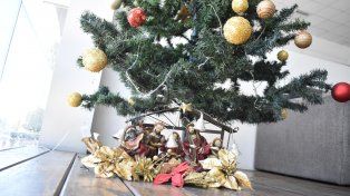 La Navidad enciende motores. La venta de arbolitos arranca antes de lo esperado con opciones de hasta $75.000