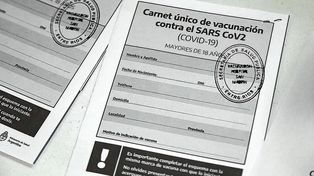El ministro Trotta anticipó que en febrero se vacunará contra el Covid-19 a los docentes.