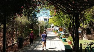 El clima en Regatas Rosario volvió a tensarse por un posible caso de acoso sexual.