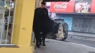 Concordia: una vaca apareció en la zona céntrica y se metió en una librería