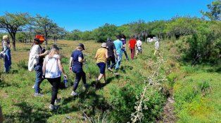 Día Mundial de Protección de la Naturaleza: los consejos para el ecoturismo