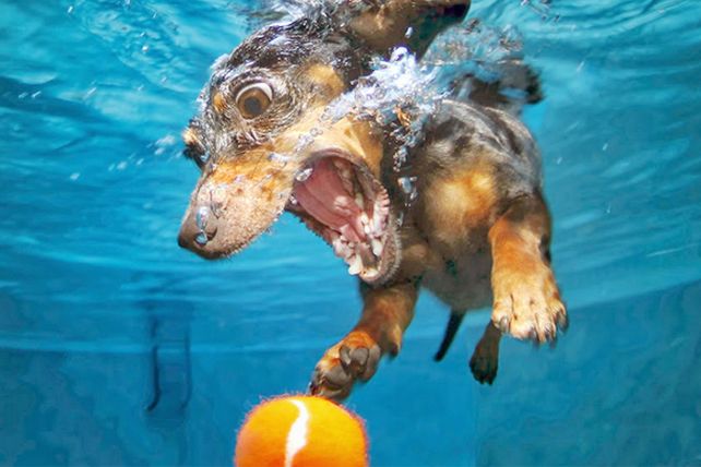 Diversión bajo el agua