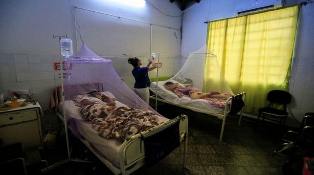 Alerta por los casos de chikungunya que pueden contagiar desde Paraguay