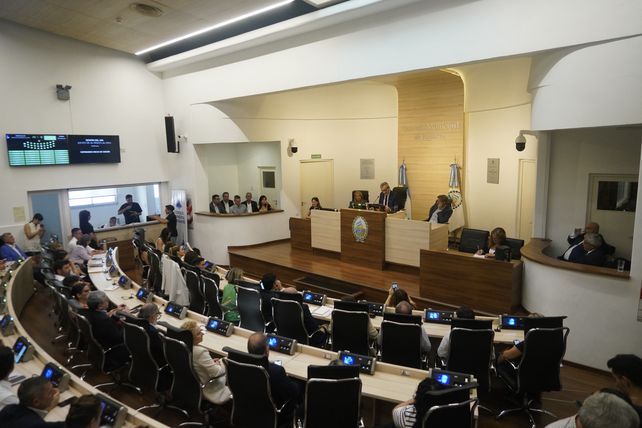 Quiénes fueron los concejales que más ordenanzas lograron aprobar este 2025 en el Palacio Vasallo