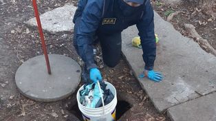 Allanamientos y golpe a narcos que asolan barrios a balaceras y venta de drogas