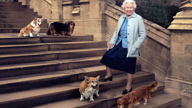 Las mascotas de Isabel II: la historia de los perros de la reina y qué sucederá con ellos