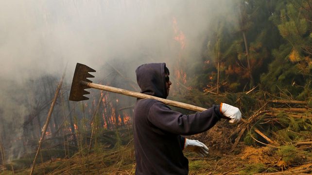 Las imágenes más estremecedoras de los incendios forestales en Chile