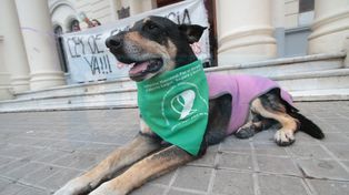 {alttext(,#NiUnaMenos)}
