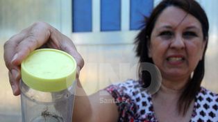Una pila de escombros que alberga alacranes e insectos