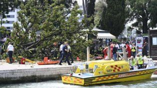 Un árbol cayó en Venecia y dejó doce heridos