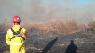 Incendios: Cabandié pidió al procurador Eduardo Casal que avance con la investigación