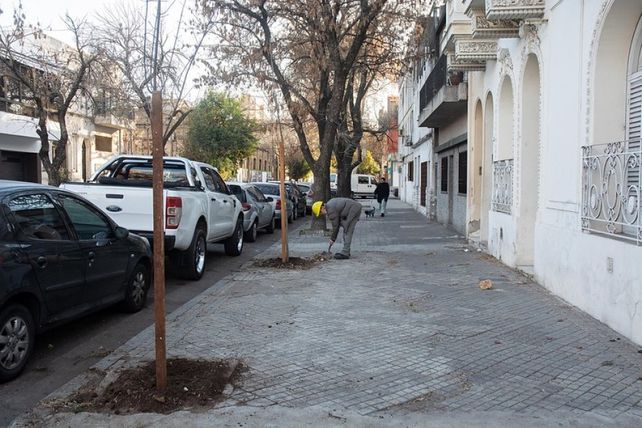 Más cuidados. El objetivo es que los frentistas se comprometan con el regado de los jóvenes árboles.