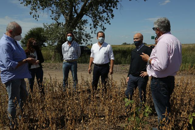 &nbsp;“Venimos de un gobierno que reprimarizó la economía”