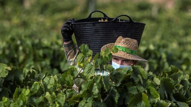 Veinte imágenes alrededor del mundo en tiempos de pandemia