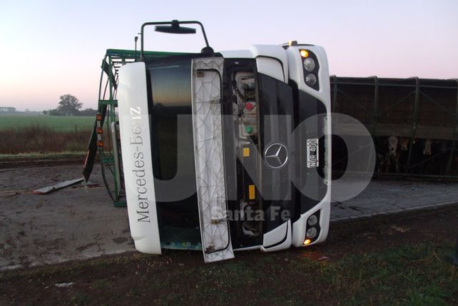 Volcó un camión con vacunos en el acceso norte a Gálvez