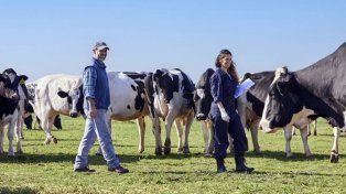 Mastellone Hnos. destaca el rol estratégico de los productores y tamberos dentro de la cadena láctea
