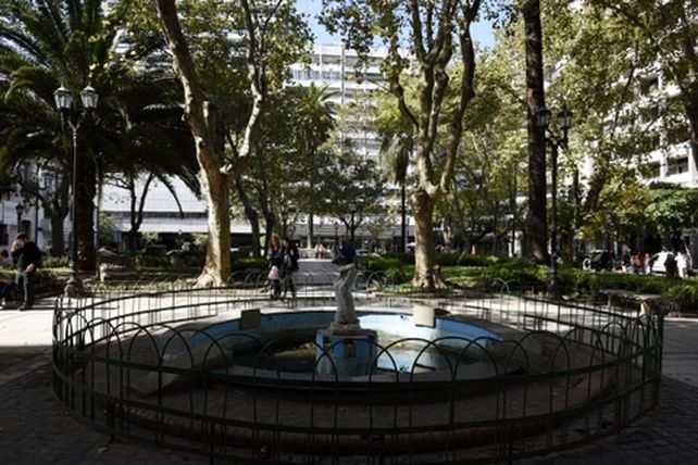 un lugar para descansar. Con sus frondosos árboles