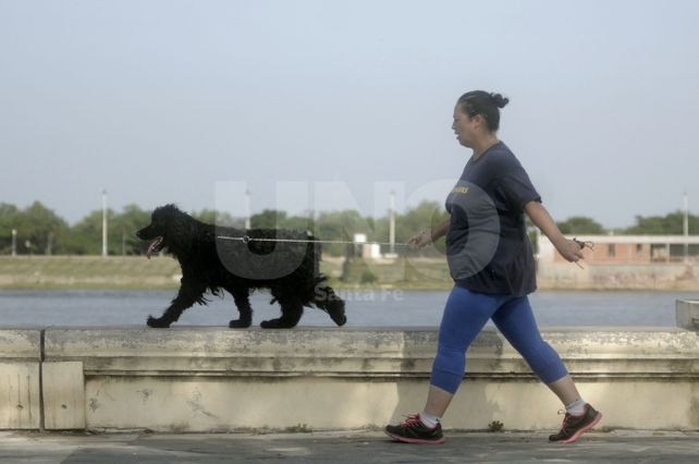 Cómo detectar un golpe de calor