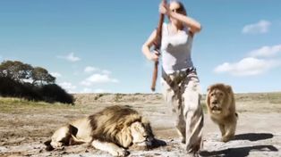 Una empresa reveló que realizó videos virales falsos como experimento social