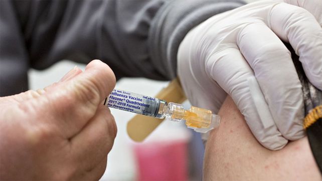 Salud. La vacuna contra la fiebre amarilla es necesaria si se viaja a Brasil