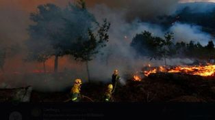 Bomberos y brigadistas trabajan a destajo para combatir las llamas.