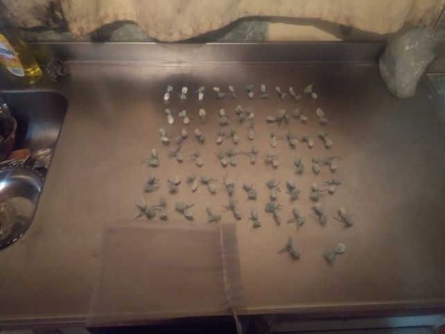Los agarraron con más de 100 dosis de cocaína