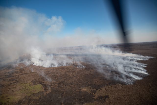 Los incendios en el humedal provocaron daños irreparables.