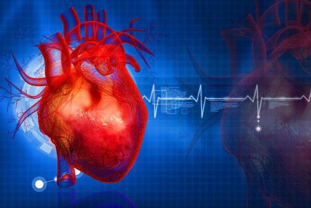 ¿Cómo funciona el polémico y controvertido test que predice un infarto?
