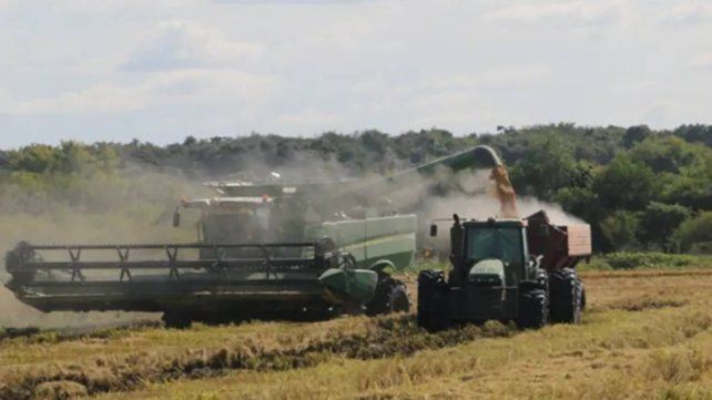 Productores arroceros advierten una crisis con rentabilidad nula