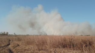 Incendios: controlaron el foco en Victoria