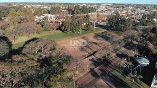 En Esperanza quieren nombrar Diego Armando Maradona a un potrero de la ciudad