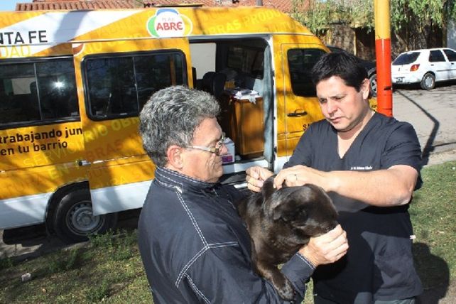 La campaña de vacunación antirrábica continúa en distintos puntos de la ciudad