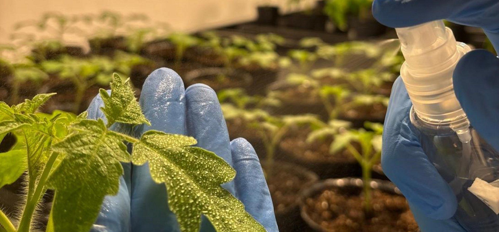 Las startups biotecnológicas que convierten ciencia rosarina en negocios globales