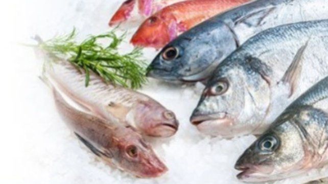 Recomendaciones de la Assal para el consumo de pescado en Semana Santa