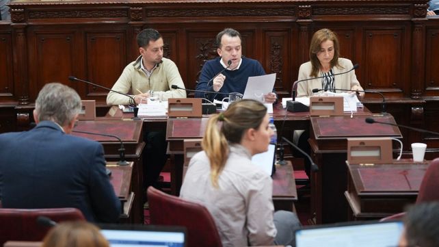 Finalmente, la Caja de Jubilaciones será declarada intransferible en la nueva Constitución de Santa Fe
